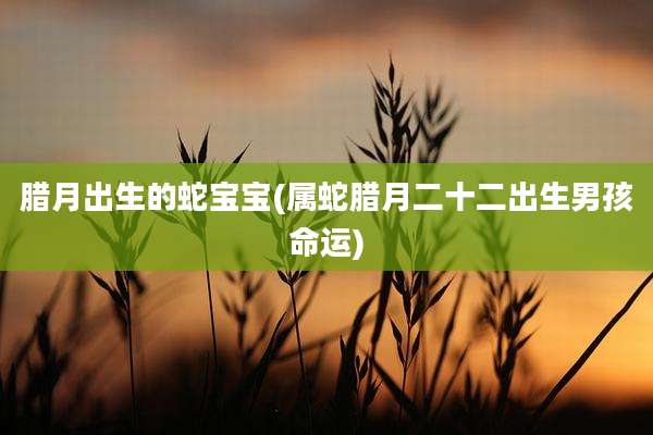 腊月出生的蛇宝宝(属蛇腊月二十二出生男孩命运)