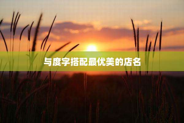 与度字搭配最优美的店名