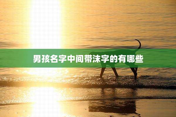男孩名字中间带沫字的有哪些