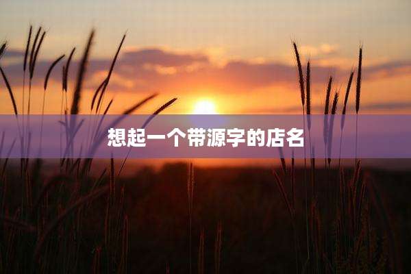 想起一个带源字的店名