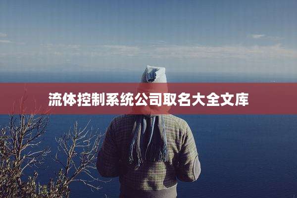 流体控制系统公司取名大全文库