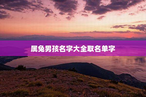 属兔男孩名字大全取名单字