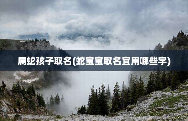 属蛇孩子取名(蛇宝宝取名宜用哪些字)