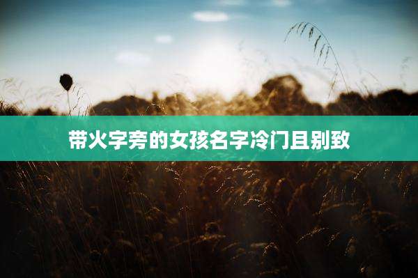 带火字旁的女孩名字冷门且别致
