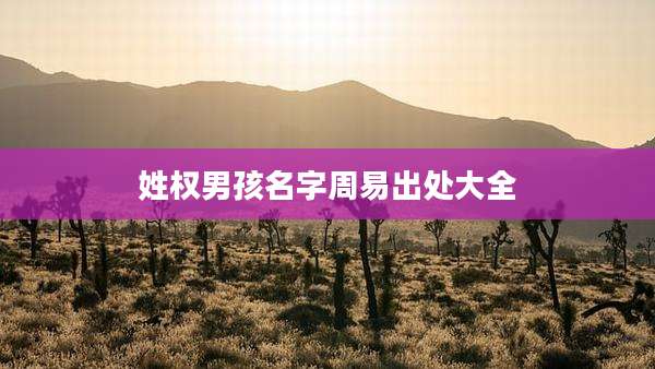 姓权男孩名字周易出处大全