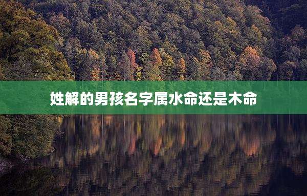 姓解的男孩名字属水命还是木命