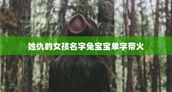 姓仇的女孩名字兔宝宝单字带火