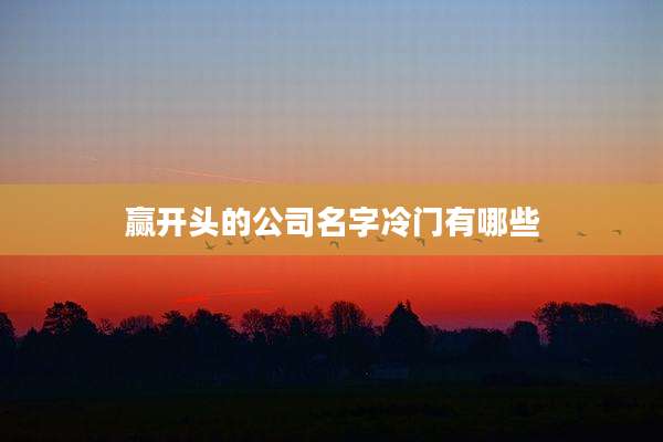 赢开头的公司名字冷门有哪些