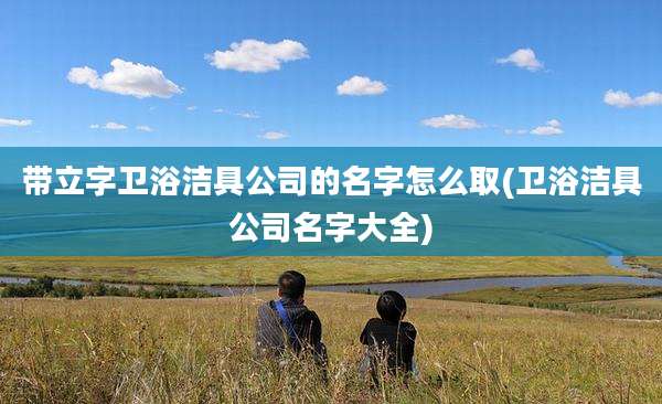 带立字卫浴洁具公司的名字怎么取(卫浴洁具公司名字大全)