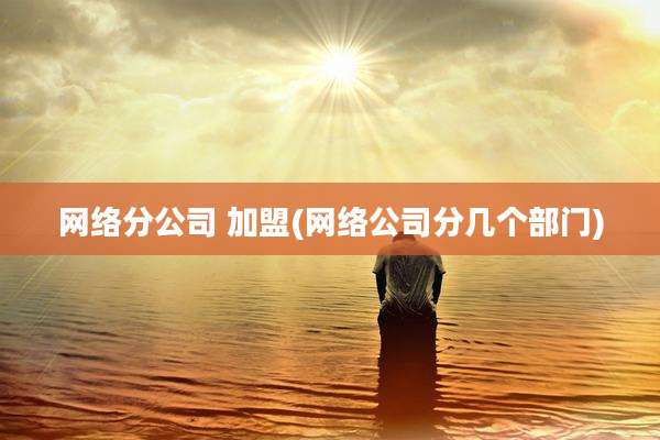 网络分公司 加盟(网络公司分几个部门)