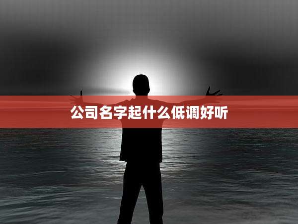 公司名字起什么低调好听