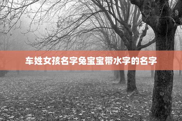车姓女孩名字兔宝宝带水字的名字