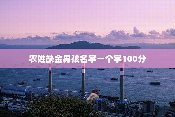 农姓缺金男孩名字一个字100分