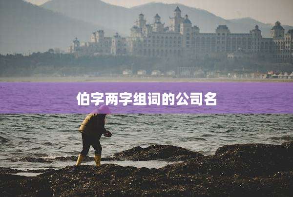 伯字两字组词的公司名