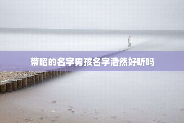 带昭的名字男孩名字浩然好听吗