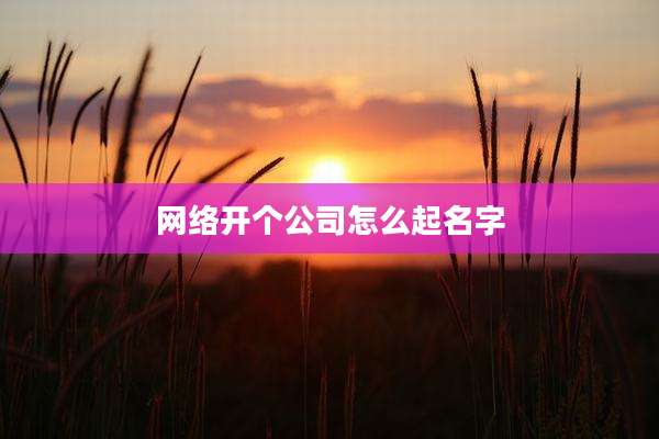 网络开个公司怎么起名字