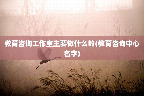 教育咨询工作室主要做什么的(教育咨询中心名字)