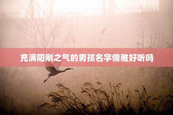 充满阳刚之气的男孩名字儒雅好听吗