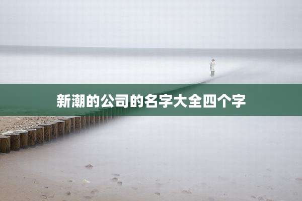 新潮的公司的名字大全四个字