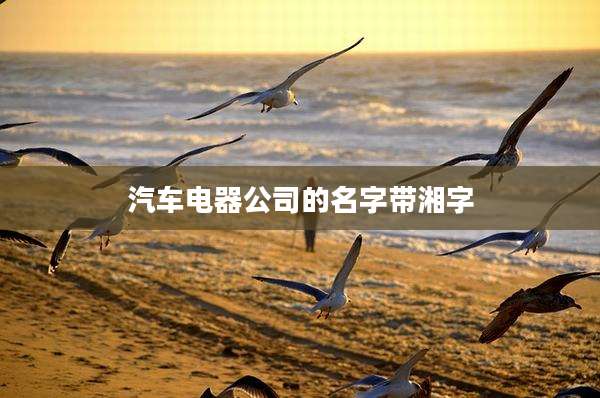 汽车电器公司的名字带湘字