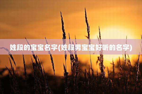 姓段的宝宝名字(姓段男宝宝好听的名字)