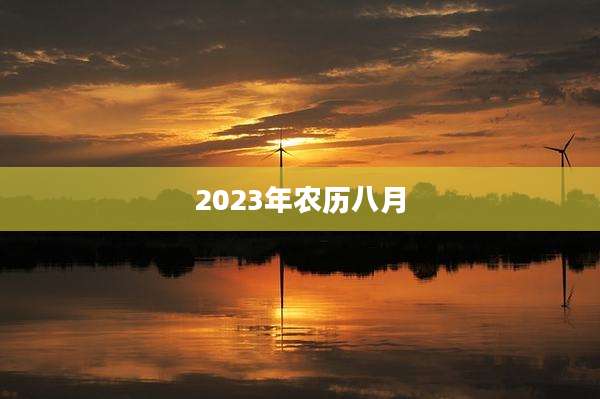 2023年农历八月