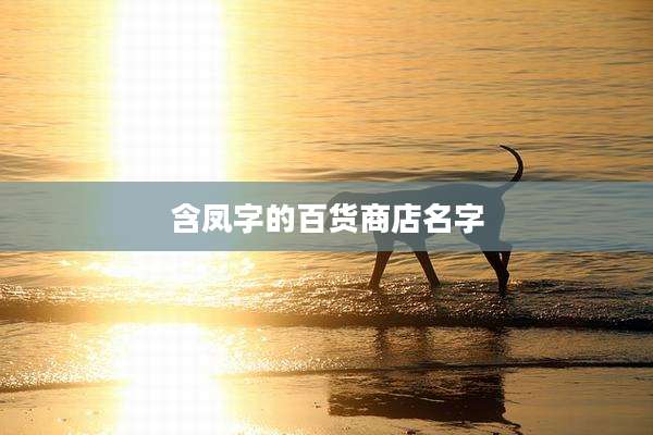 含凤字的百货商店名字