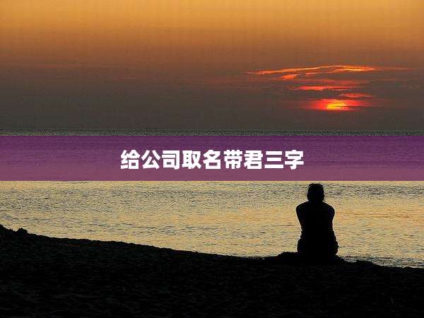 给公司取名带君三字