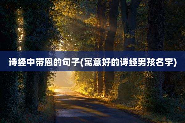 诗经中带恩的句子(寓意好的诗经男孩名字)