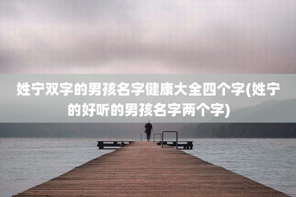 姓宁双字的男孩名字健康大全四个字(姓宁的好听的男孩名字两个字)