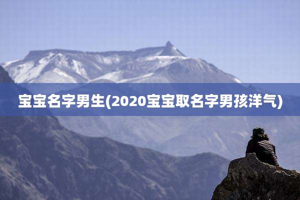 宝宝名字男生(2020宝宝取名字男孩洋气)