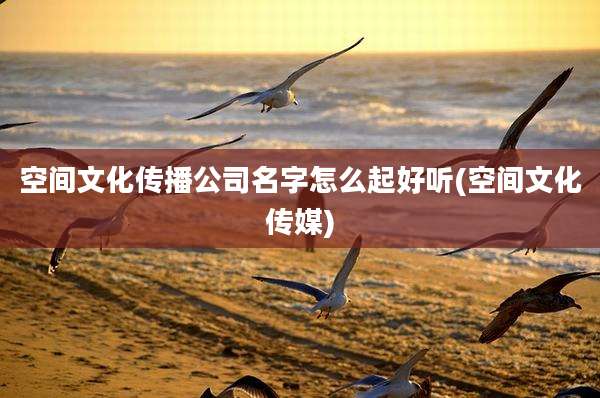 空间文化传播公司名字怎么起好听(空间文化传媒)