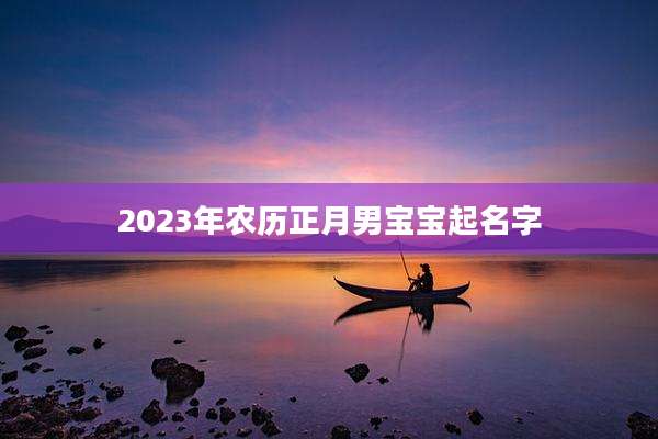 2023年农历正月男宝宝起名字