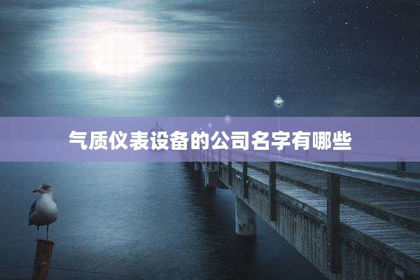 气质仪表设备的公司名字有哪些