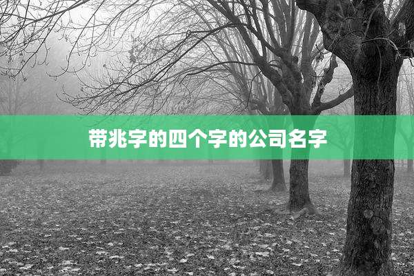 带兆字的四个字的公司名字
