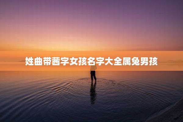 姓曲带茜字女孩名字大全属兔男孩