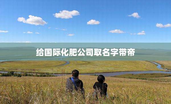 给国际化肥公司取名字带帝