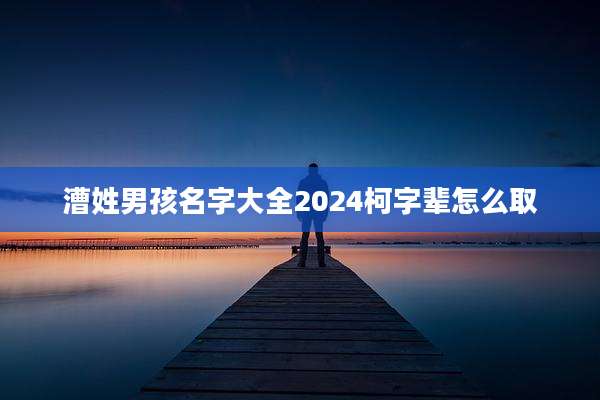 漕姓男孩名字大全2024柯字辈怎么取