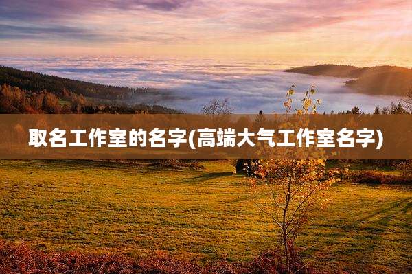 取名工作室的名字(高端大气工作室名字)