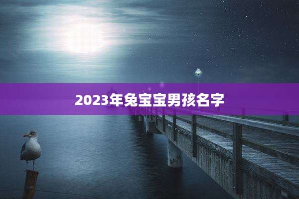 2023年兔宝宝男孩名字