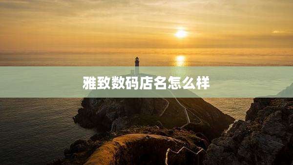 雅致数码店名怎么样
