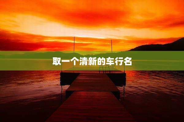 取一个清新的车行名