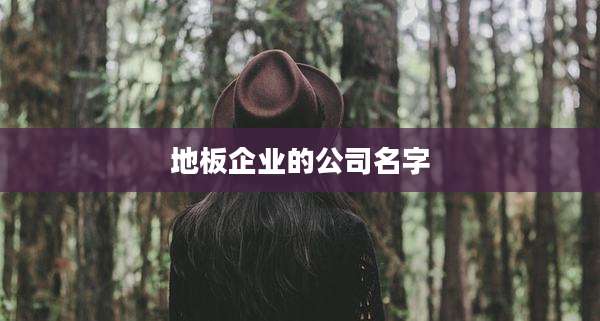 地板企业的公司名字