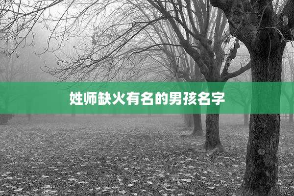 姓师缺火有名的男孩名字
