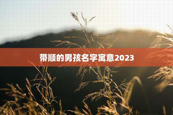 带顺的男孩名字寓意2023