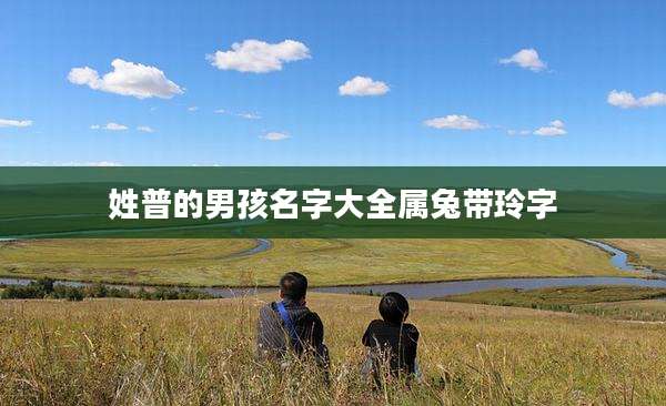 姓普的男孩名字大全属兔带玲字