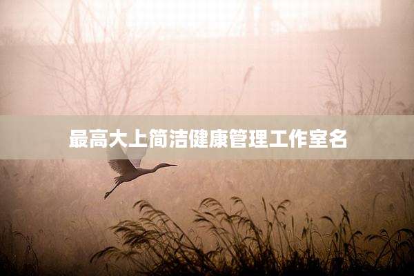 最高大上简洁健康管理工作室名