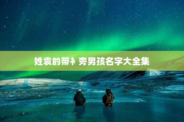 姓袁的带衤旁男孩名字大全集