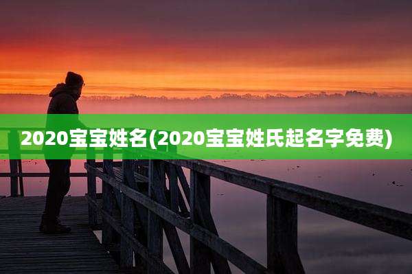 2020宝宝姓名(2020宝宝姓氏起名字免费)