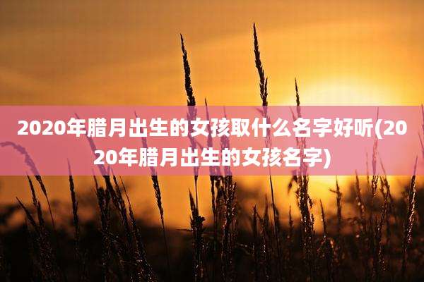 2020年腊月出生的女孩取什么名字好听(2020年腊月出生的女孩名字)